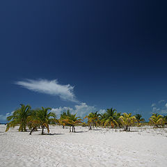 photo "Cayo Largo... Cuba..."