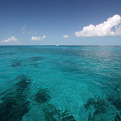 photo "El Mar del Carribe... Cuba..."