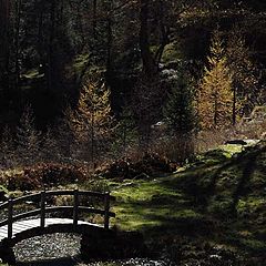 фото "autumn valle antrona"