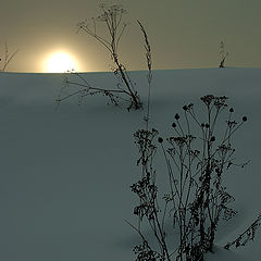 photo "Behind of a hill..."