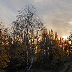 photo "Осенний закат"