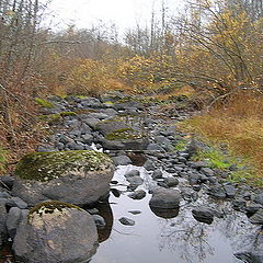 photo "Stones"