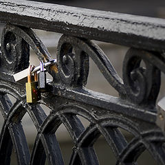 photo "Locks Of Love"