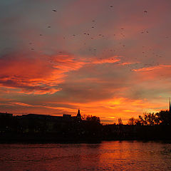 photo "bloody sunset"