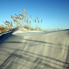 photo "The Dunes"