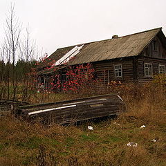 фото "Карельский дом"