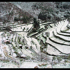 фото "Combaros de Neve"