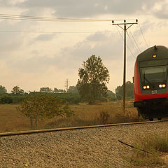 photo "morning train"