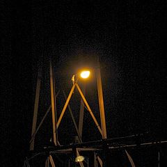 photo "Night Crossing"