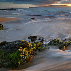 photo "Wave near my feet"