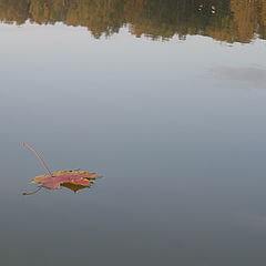 photo "Memoirs on autumn..."