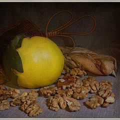 фото "Натюрморт с грецкими орехами"