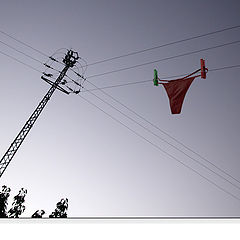 фото "...high tension..."