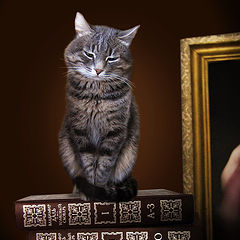 фото "Кот ученый"