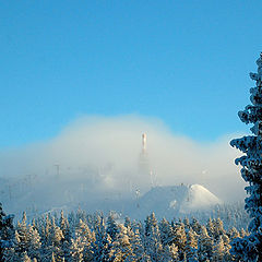 photo "Through the fog"