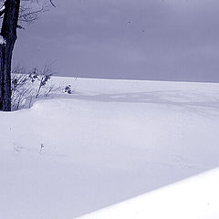 photo "Winterlandscape"