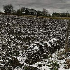 photo "Vegetable garden"