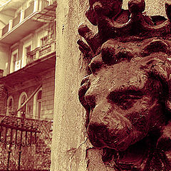 photo "Old guardian"
