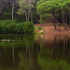 photo "Blue lagoon - Sintra"