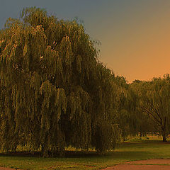 фото "Say good bye to the day"