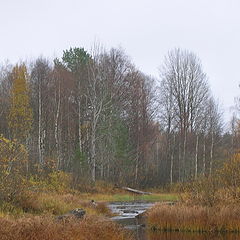 фото "Речушка"