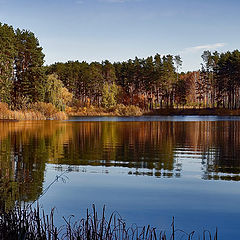 photo "Autumn tints"