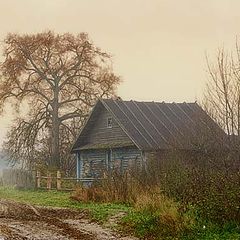 photo "***"