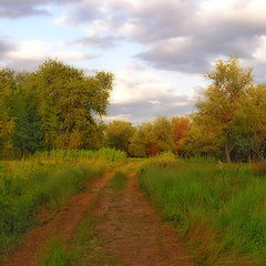 photo "the ROAD"