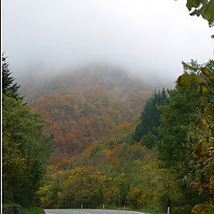 photo "Road to a silence"