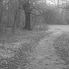 photo "Foggy November on Vorobjevy Hills"