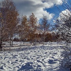 фото "Пришла зима"