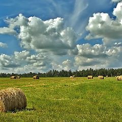 фото "Летнее настроение"