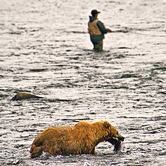 photo "Of these two, which is the better fisherman?  Bear 1, Human 0"