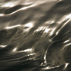 фото "Wavelets (3)"