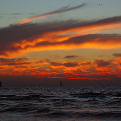 photo "A lonely Boat"