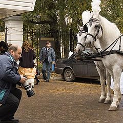 фото "нелегкая работа"