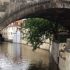 photo "Karlov most"