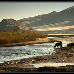 photo "Mongolia (1)"