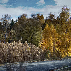 photo "Colors of autumn"