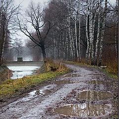 photo "The pool, the dirt, the fog"