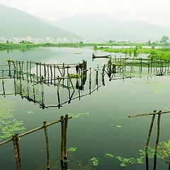 photo "XIANG LAKE"