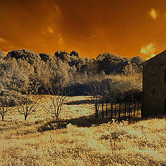 photo "Infrared"