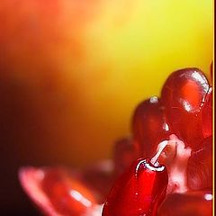 photo "***"