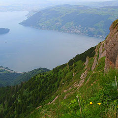 photo "Rigi culm"