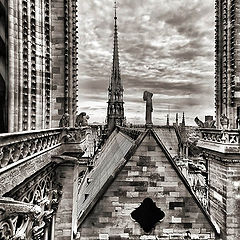 photo "Notre Dame de Paris"