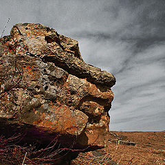 photo "А silent witness"