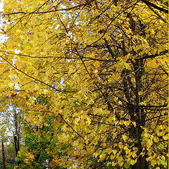 photo "Pleasant autumn"