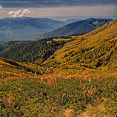 photo "разбежаться и взлететь"