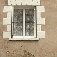 photo "Windows"