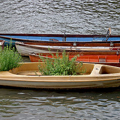 photo "Flower-pot boat"